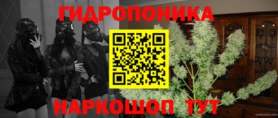 марки lsd Аша