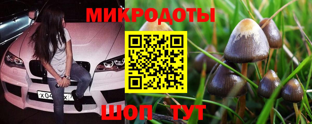 Псилоцибиновые грибы Psilocybine cubensis Отрадный